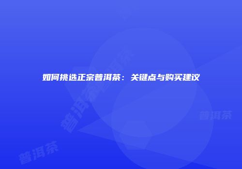 如何挑选正宗普洱茶：关键点与购买建议
