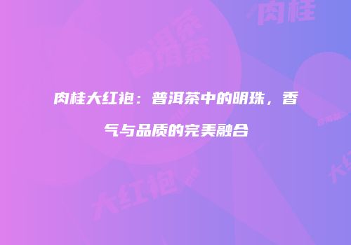 肉桂大红袍：普洱茶中的明珠，香气与品质的完美融合