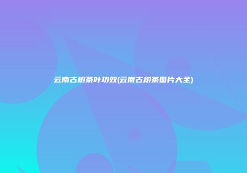 云南古树茶叶功效(云南古树茶图片大全)