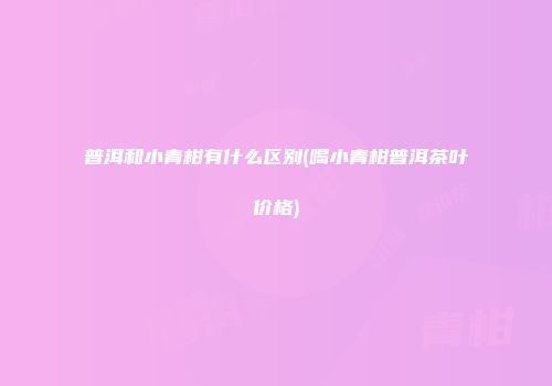 普洱和小青柑有什么区别(喝小青柑普洱茶叶价格)