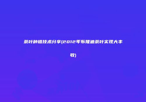 茶叶种植技术分享(2012年布隆迪茶叶实现大丰收)