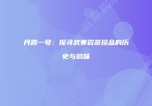 丹霞一号：探寻武夷岩茶珍品的历史与韵味