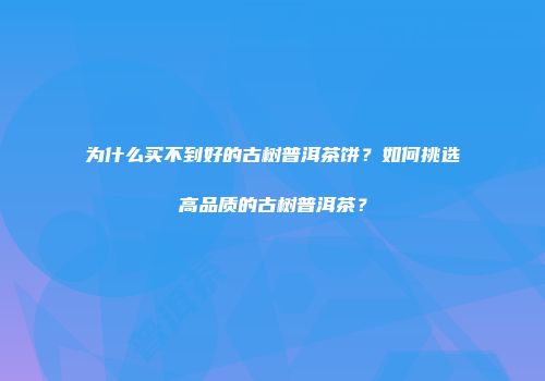 为什么买不到好的古树普洱茶饼？如何挑选高品质的古树普洱茶？