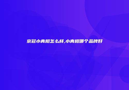 京冠小青柑怎么样,小青柑哪个品牌好