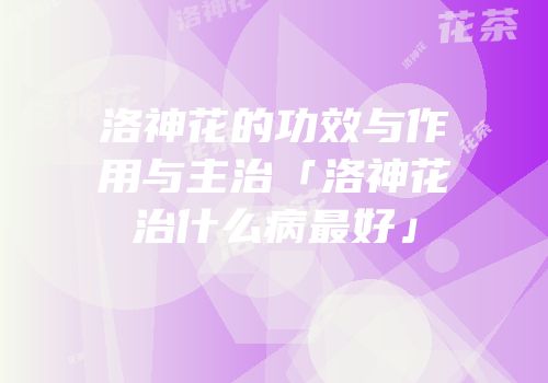 洛神花的功效与作用与主治「洛神花治什么病最好」