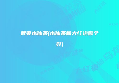 武夷水仙茶(水仙茶和大红袍哪个好)