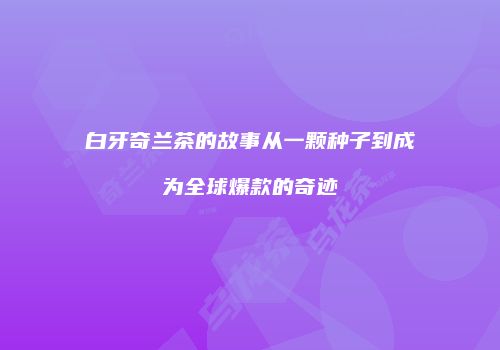 白牙奇兰茶的故事从一颗种子到成为全球爆款的奇迹