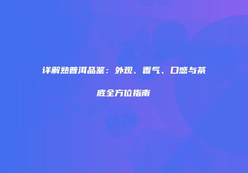 详解熟普洱品鉴：外观、香气、口感与茶底全方位指南