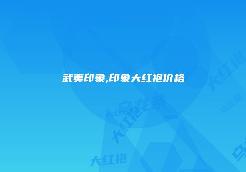 武夷印象,印象大红袍价格
