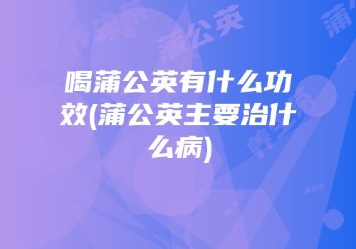 喝蒲公英有什么功效(蒲公英主要治什么病)