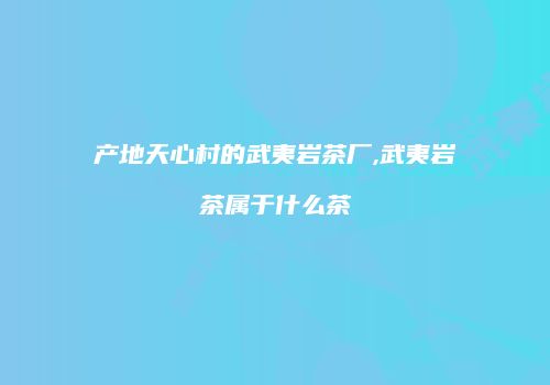 产地天心村的武夷岩茶厂,武夷岩茶属于什么茶