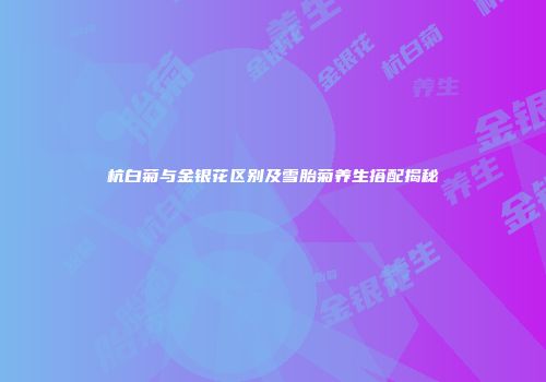 杭白菊与金银花区别及雪胎菊养生搭配揭秘