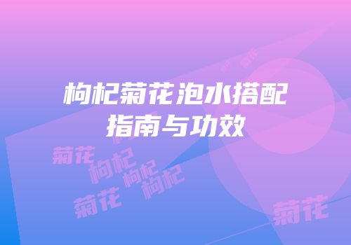 枸杞菊花泡水搭配指南与功效