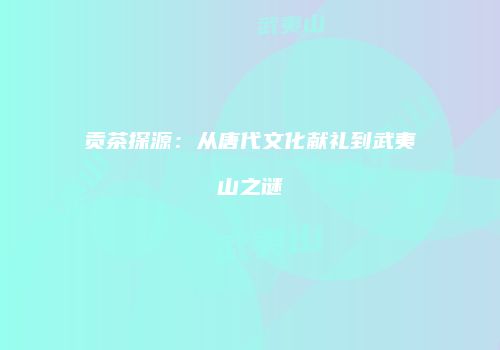 贡茶探源：从唐代文化献礼到武夷山之谜