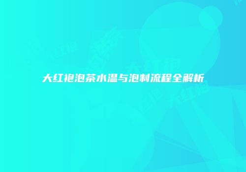 大红袍泡茶水温与泡制流程全解析