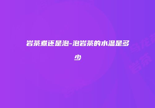 岩茶煮还是泡-泡岩茶的水温是多少