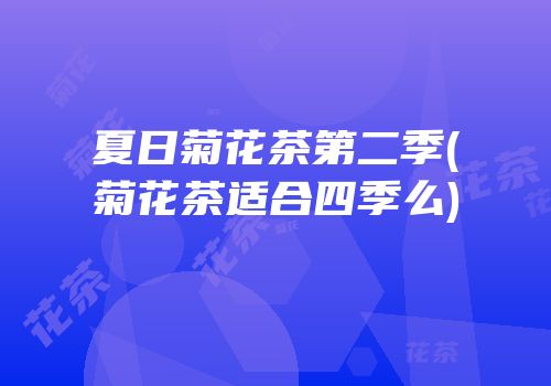 夏日菊花茶第二季(菊花茶适合四季么)