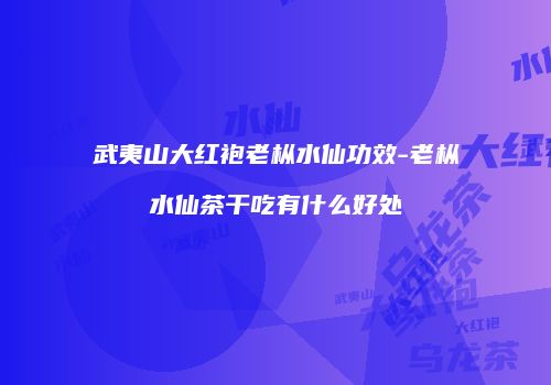 武夷山大红袍老枞水仙功效-老枞水仙茶干吃有什么好处