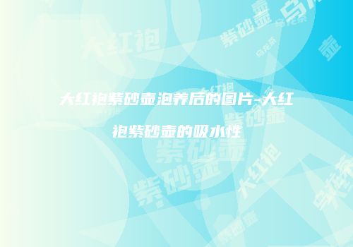 大红袍紫砂壶泡养后的图片-大红袍紫砂壶的吸水性