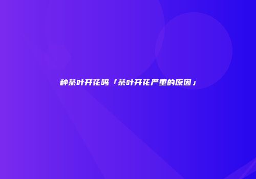 种茶叶开花吗「茶叶开花严重的原因」