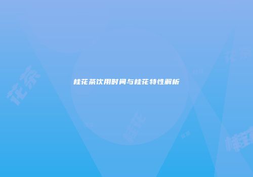 桂花茶饮用时间与桂花特性解析
