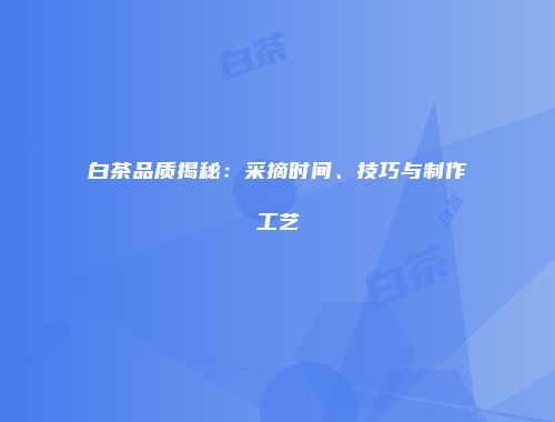 白茶品质揭秘：采摘时间、技巧与制作工艺