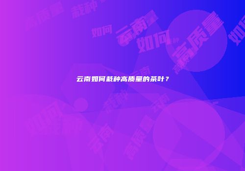 云南如何栽种高质量的茶叶？