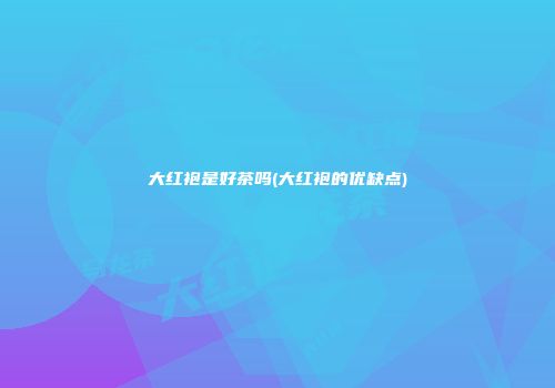 大红袍是好茶吗(大红袍的优缺点)