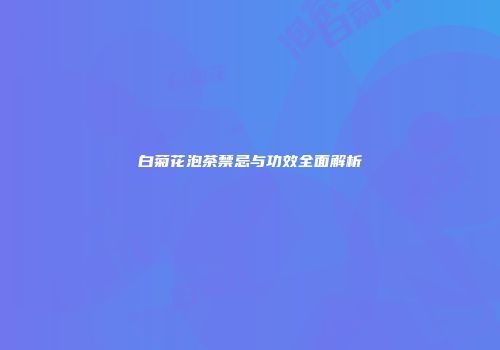 白菊花泡茶禁忌与功效全面解析