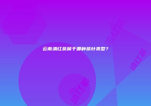 云南滇红茶属于哪种茶叶类型？