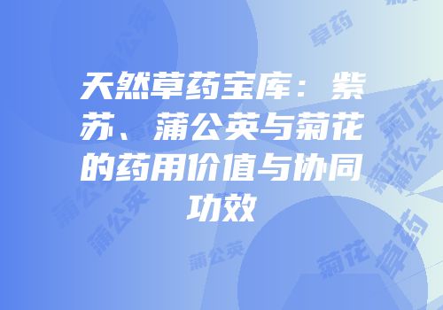 天然草药宝库：紫苏、蒲公英与菊花的药用价值与协同功效