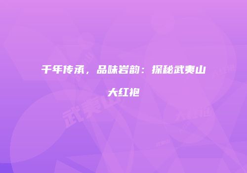 千年传承，品味岩韵：探秘武夷山大红袍