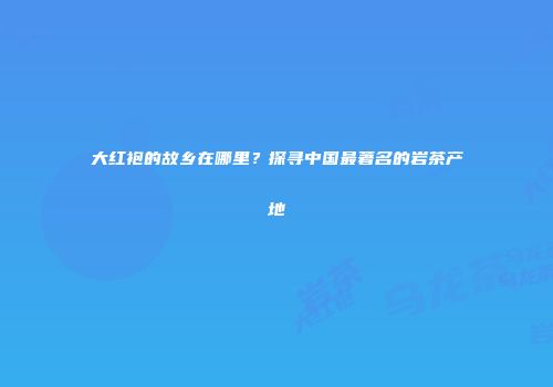大红袍的故乡在哪里？探寻中国最著名的岩茶产地