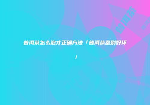 普洱茶怎么泡才正确方法「普洱茶鉴别好坏」