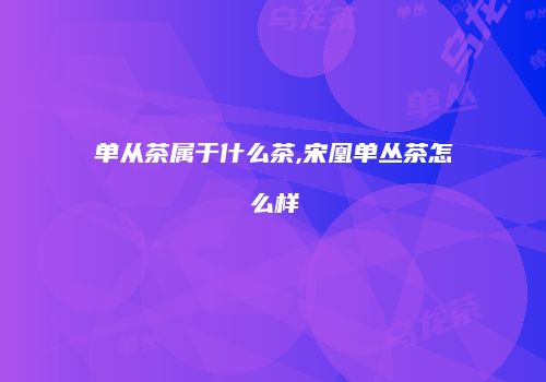 单从茶属于什么茶,宋凰单丛茶怎么样
