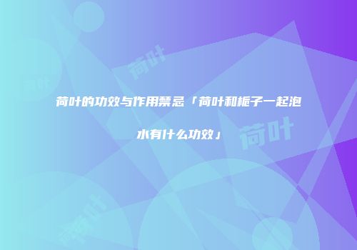 荷叶的功效与作用禁忌「荷叶和栀子一起泡水有什么功效」