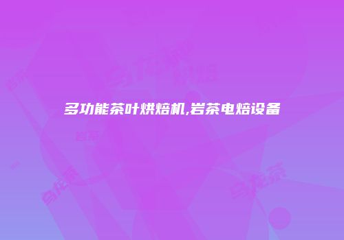 多功能茶叶烘焙机,岩茶电焙设备