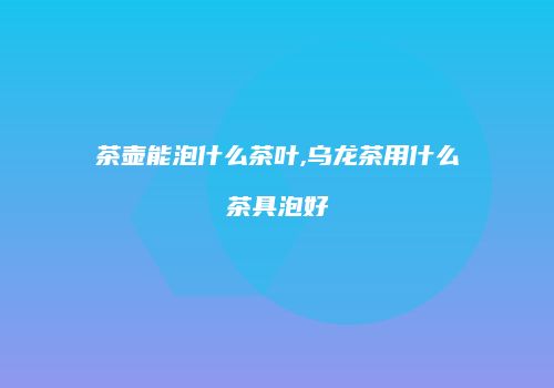 茶壶能泡什么茶叶,乌龙茶用什么茶具泡好