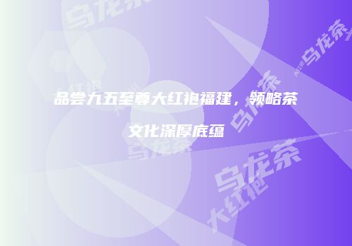 品尝九五至尊大红袍福建，领略茶文化深厚底蕴