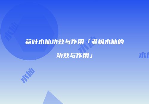 茶叶水仙功效与作用「老枞水仙的功效与作用」