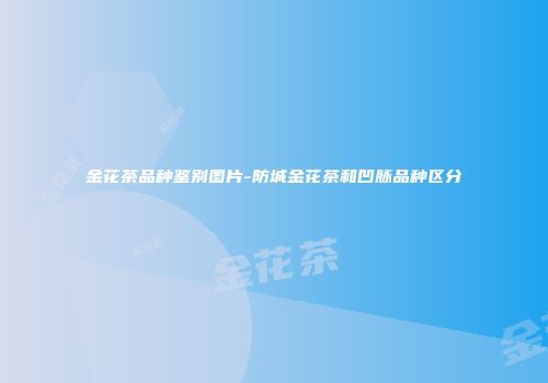 金花茶品种鉴别图片-防城金花茶和凹脉品种区分