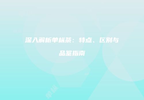 深入解析单枞茶：特点、区别与品鉴指南