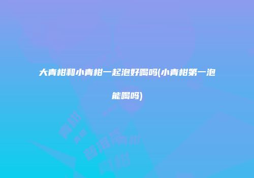 大青柑和小青柑一起泡好喝吗(小青柑第一泡能喝吗)