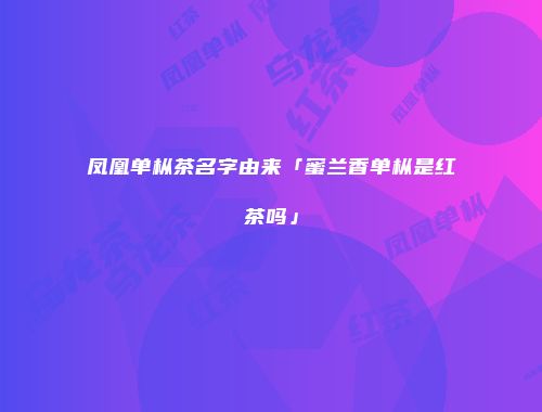 凤凰单枞茶名字由来「蜜兰香单枞是红茶吗」
