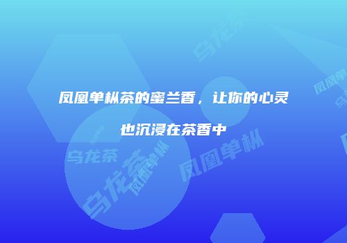 凤凰单枞茶的蜜兰香，让你的心灵也沉浸在茶香中