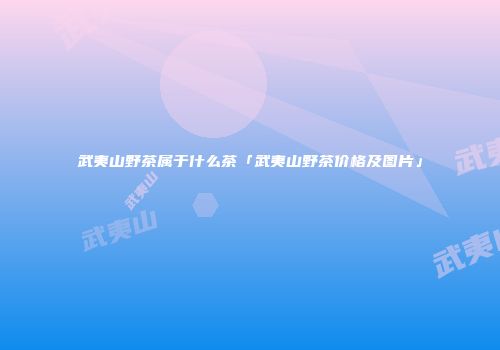 武夷山野茶属于什么茶「武夷山野茶价格及图片」