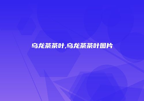 乌龙茶茶叶,乌龙茶茶叶图片