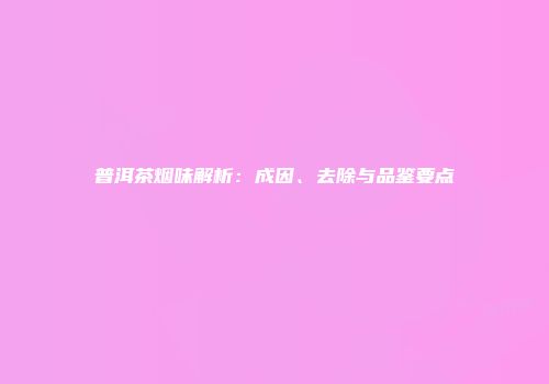 普洱茶烟味解析：成因、去除与品鉴要点