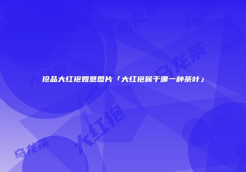 珍品大红袍如意图片「大红袍属于哪一种茶叶」