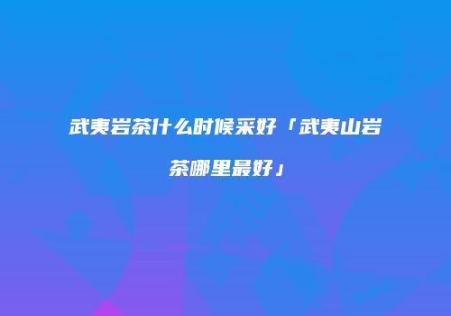 武夷岩茶什么时候采好「武夷山岩茶哪里最好」